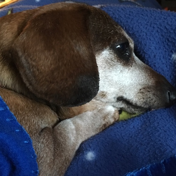 Bundle Up! - Picture 4 of 8